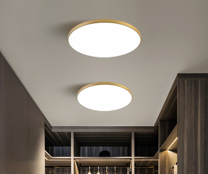 LED Ceiling Light