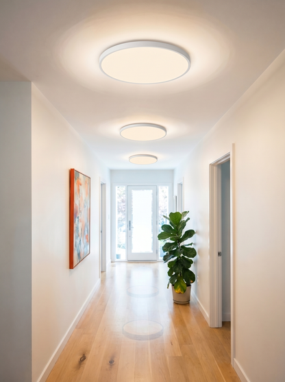 LED Ceiling Light